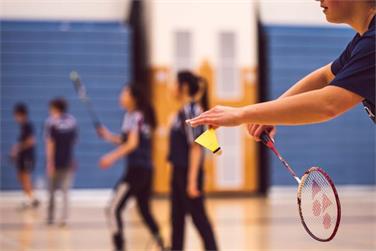 Image for: COURT COUVERT BADMINTON VERNIER